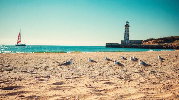 Découvrez les destinations incontournables de l'île d'Oléron